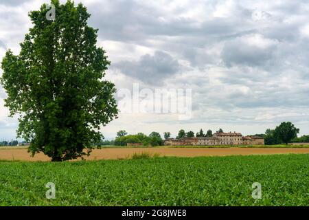 Paysage rural au printemps près de Certosa di Pavia, province de Pavia, Lombardie, Italie Banque D'Images