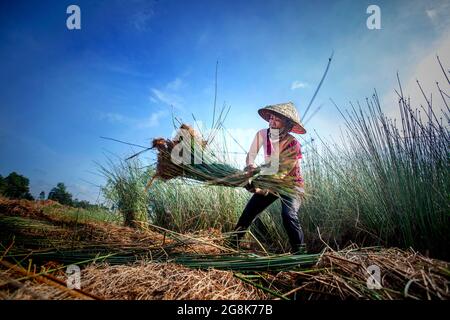 Les vietnamiens Banque D'Images