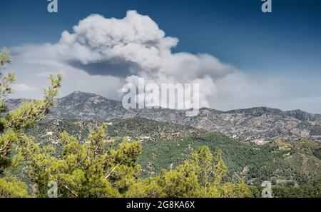 Fumée énorme d'un feu de forêt au-dessus des montagnes lointaines avec des pins en premier plan. Aradippou a été l'un des pires incendies mortels en juillet 3, 2021 Banque D'Images