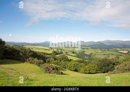 Matin d'été la vallée de Conwy vue depuis les collines au-dessus du village d'Eglwysbach Conwy Snowdonia Nord du pays de Galles Banque D'Images