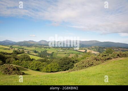 Matin d'été la vallée de Conwy vue depuis les collines au-dessus du village d'Eglwysbach Conwy Snowdonia Nord du pays de Galles Banque D'Images