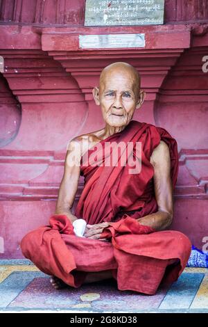 Gros plan portrait de vieux moine birman portant des robes de marron assis en position lotus posant pour la photo, Pagode Shwedagon, Yangon, Myanmar Banque D'Images