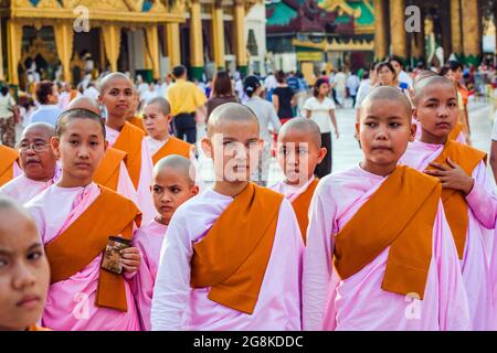 Jeune nonne novice (thilashin) à la Pagode Shwedagon, Yangon, Myanmar Banque D'Images