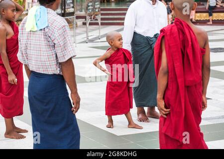 Jeune moine birman novice portant des robes de marron est entouré de moines et d'hommes plus grands à la Pagode Shwedagon, Yangon, Myanmar Banque D'Images