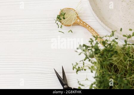 Croissance des microverts à la maison. Pousses de lin frais sur une cuillère en céramique, assiette, ciseaux, germe sur bois blanc. Lin ou lin plantes fraîches, micro vert. Banque D'Images