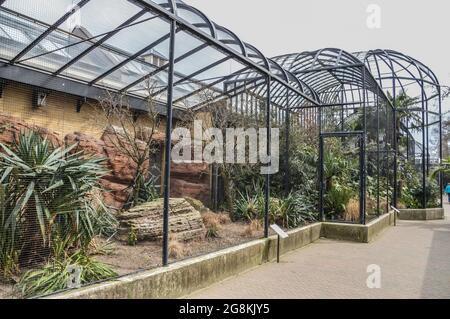 Cages d'oiseaux au zoo Artis d'Amsterdam, pays-Bas 13-4-2018 Banque D'Images