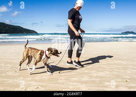 Femme marchant un chien à la plage d'Acores. Florianopolis, Santa Banque D'Images