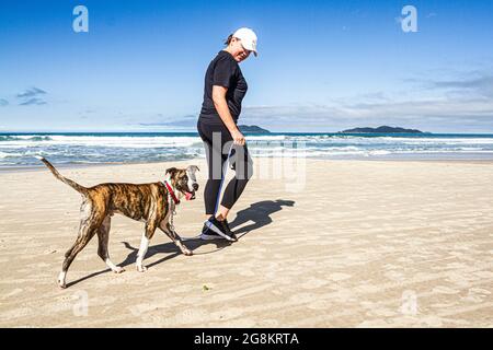 Femme marchant un chien à la plage d'Acores. Florianopolis, Santa Banque D'Images