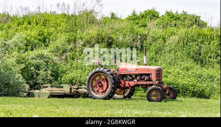 Vieux tracteur agricole Farmall rouge installé dans un champ Banque D'Images