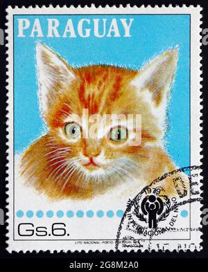 PARAGUAY - VERS 1979: Un timbre imprimé au Paraguay montre chaton, chat domestique, felis silvestris catus, vers 1979 Banque D'Images