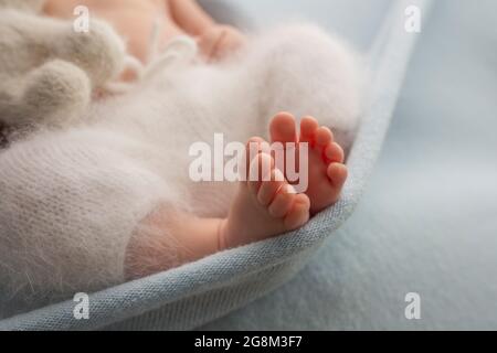 Photo des jambes d'un nouveau-né. Pieds de bébé recouverts d'un fond isolé en laine. Banque D'Images