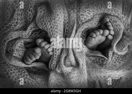 Jambes de nouveau-nés jumeaux. Deux paires de pieds de bébé recouverts de laine d'un tissu écossais doux. Image des semelles des pieds. Banque D'Images