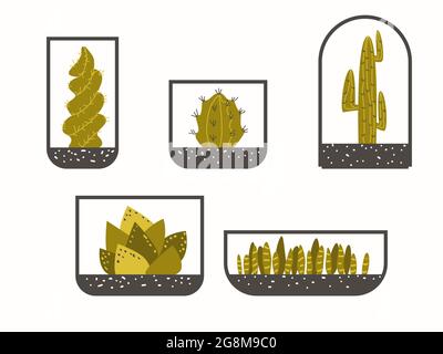 Ensemble de cactus géométriques et de succulents florariums. Terrariums avec plantes, décor gris vert jaune maison. Bouteilles en verre plantes exotiques pots vecteur Ill Illustration de Vecteur