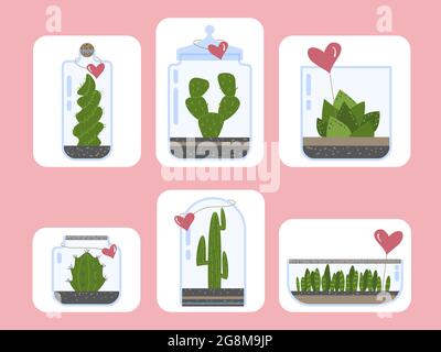 Ensemble de plantes de terrarium. Cactus succulent florarium dans vase en verre avec carte de coeur, terrariums mignons avec plantes exotiques, cactus dans la bouteille pour présent g Illustration de Vecteur