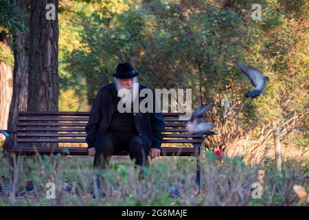 Timisoara, Roumanie - 10 octobre 2020 : homme assis sur un banc dans un parc. De vraies personnes. Pigeons en mouvement. Banque D'Images