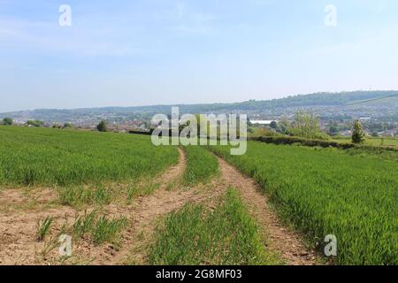 paysages de terres agricoles et de cultures avec des vues agréables Banque D'Images