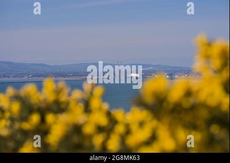 Vue panoramique et lumineuse sur la gorge jaune (Ulex), la baie de Dublin, Dublin Waste to Energy (usine de Covanta), Poolbeg CCGT, Pigeon House Power Station, Dublin Banque D'Images