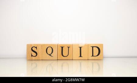 Le nom Squid a été créé à partir de cubes de lettre en bois. Fruits de mer et nourriture. Gros plan. Banque D'Images