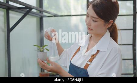 Asiatique belle jeune femme sourire tenant pot petite fleur d'arbre sur les mains arroser avec l'eau en prenant soin au jardin, la femelle vaporise des plantes en fleur po Banque D'Images