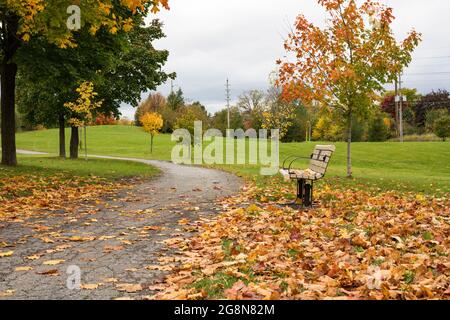Automne dans le parc. Les feuilles tombées des arbres près du banc et de la route dans un parc public local . Belle automne Banque D'Images