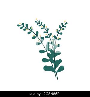 Bouquet de branches vertes de feuilles et de petites bourgeons jaunes. Fleurs et plantes. Illustration vectorielle de style plat Illustration de Vecteur