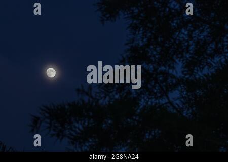 21 juillet 2021 : la pleine lune de buck à San Diego, Californie, le mercredi 21 juillet 2021. (Image de crédit : © Rishi DekaZUMA Press Wire) Banque D'Images