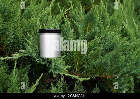 Pot en métal cosmétique sur sapin buisson lumière naturelle Banque D'Images