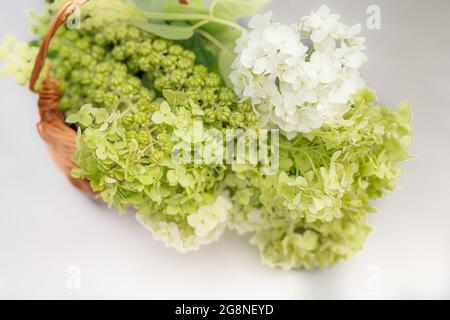 Bouquet d'hortensia dans un panier Banque D'Images