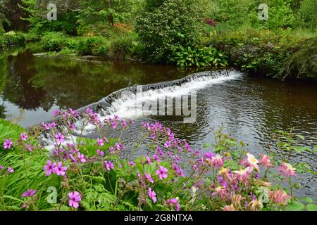 La rivière Vartry s'écoulant sur un déversoir entouré de verdure de chaque côté. Banque D'Images