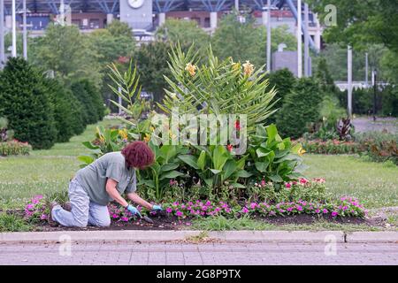 Un employé du Service des parcs travaille sur des fleurs près de la Unisphere, dans le parc Corona de Flushing Meadows, à Queens, dans la ville de New York. Banque D'Images
