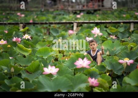 Garçon vietnamien jouant avec le lotus rose sur le bateau traditionnel en bois dans le grand lac à thap muoi, province de dong thap, vietnam, culture et lif Banque D'Images