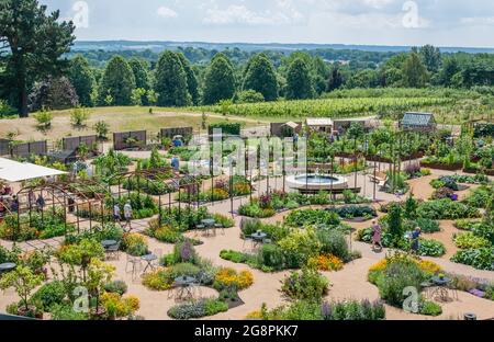 Royal horticulture Society, World Food Garden at Hill Top, Wisley, Surrey, Angleterre. Banque D'Images