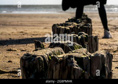 Vieux poteaux en bois rotten brise-lames recouverts de mousse dans une rangée menant à la mer, horizon de l'océan flou avec des parties du corps de la femme, les jambes, flou dans le Banque D'Images