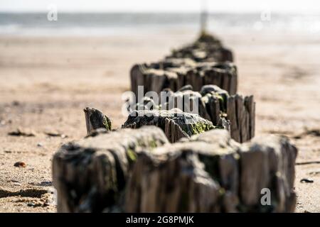 Poteaux en bois couverts de mousse dans une rangée menant à la mer, vagues de l'océan floues ciel surexposé pour le concept et l'espace de copie. Banque D'Images