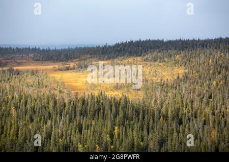 Vue sur la tourbière automnale et le paysage forestier de la taïga vu depuis le sommet de Pikku Riisitunturi au parc national de Riisitunturi, dans le nord de la Finlande Banque D'Images