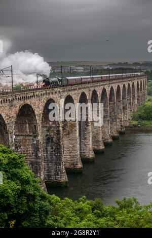 Le train le plus célèbre au monde The Flying Scotsman traversant l'un des sites les plus impressionnants de la côte est, le pont de la frontière royale Banque D'Images