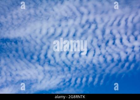 Des nuages de Cirrus lors d'une journée d'été. Une vue rare des nuages de cirrus par jour calme. Banque D'Images