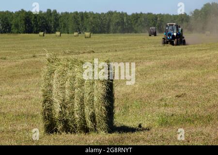 Les machines agricoles dans les champs contiennent de la paille fauchée pour les fermes d'élevage. Banque D'Images