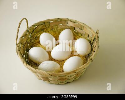 Œufs dans un grand panier sur fond clair. Concept d'épicerie, agricole et de vacances de pâques. Banque D'Images