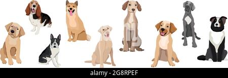 Une sélection de neuf chiens réalistes de différentes races sur fond blanc - illustration vectorielle Illustration de Vecteur