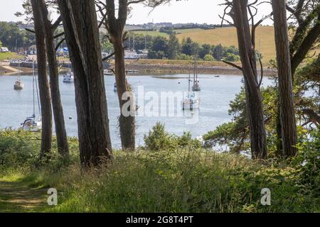 21 juillet 2021 des bateaux de plaisance amarrés dans les eaux calmes de la propriété National Trust à Gibbs Island près de Killyleagh dans le comté en bas de l'Irlande du Nord. Banque D'Images