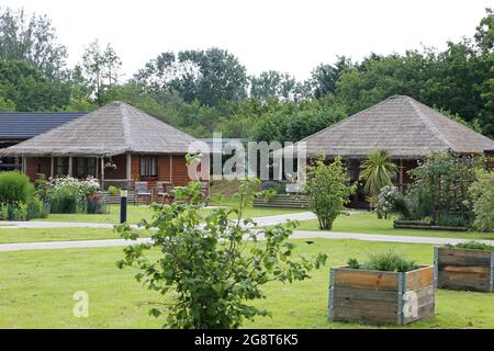 Lodges d'hébergement, Big Cat Sanctuary, Headcorn Road, Smarden, Ashford, Kent, Angleterre, Grande-Bretagne, Royaume-Uni, Europe Banque D'Images