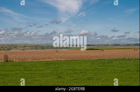 Chamberlain, Dakota du Sud, États-Unis - 2 juin 2008 : Missouri River au nord de la ville. Le grand système d'irrigation sur roues repose sur des terres agricoles en terre brune le long de la rive sous b Banque D'Images