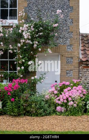 Mélange de fleurs stupéfiant, photographié dans un jardin de chalet dans le nord de Norfolk au Royaume-Uni. Banque D'Images