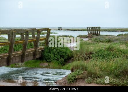 Ponts piétonniers en bois dans les marais salants de raidisseur près de Holt dans le nord de Norfolk, East Anglia UK. Banque D'Images