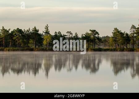 Le brouillard s'élève lentement sur le lac au lever du soleil tôt le matin à la tourbière de Kakerdaja en Estonie, en Europe du Nord Banque D'Images