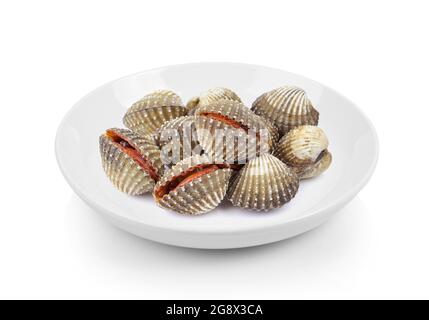 coques fraîches dans l'assiette sur fond blanc Banque D'Images