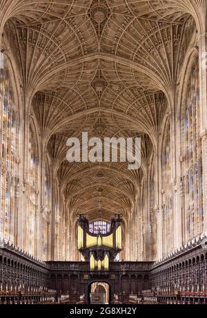 CAMBRIDGE ENGLAND KING'S COLLEGE VENTILATEUR DE CHAPELLE VAITING SUR LE PLAFOND AU-DESSUS DE LA ZONE DE CHOEUR Banque D'Images