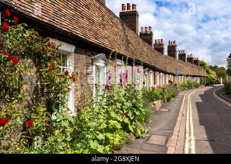 CAMBRIDGE ENGLAND ORCHARD STREET COTTAGES GAULT BRIQUES BÂTIMENTS MANSARDE TOITS HOLLYHOCKS ALCEA ET ROSES ROUGES Banque D'Images