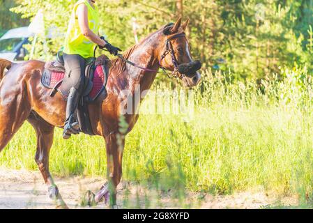 Concurrent fille équitation cheval dans le champ d'été pré.Jeune cavalier gallerps par le jour ensoleillé d'été.Rivalry concept. Banque D'Images